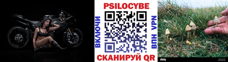 Псилоцибиновые грибы MAGIC MUSHROOMS  нарко площадка наркотические препараты  Моршанск 